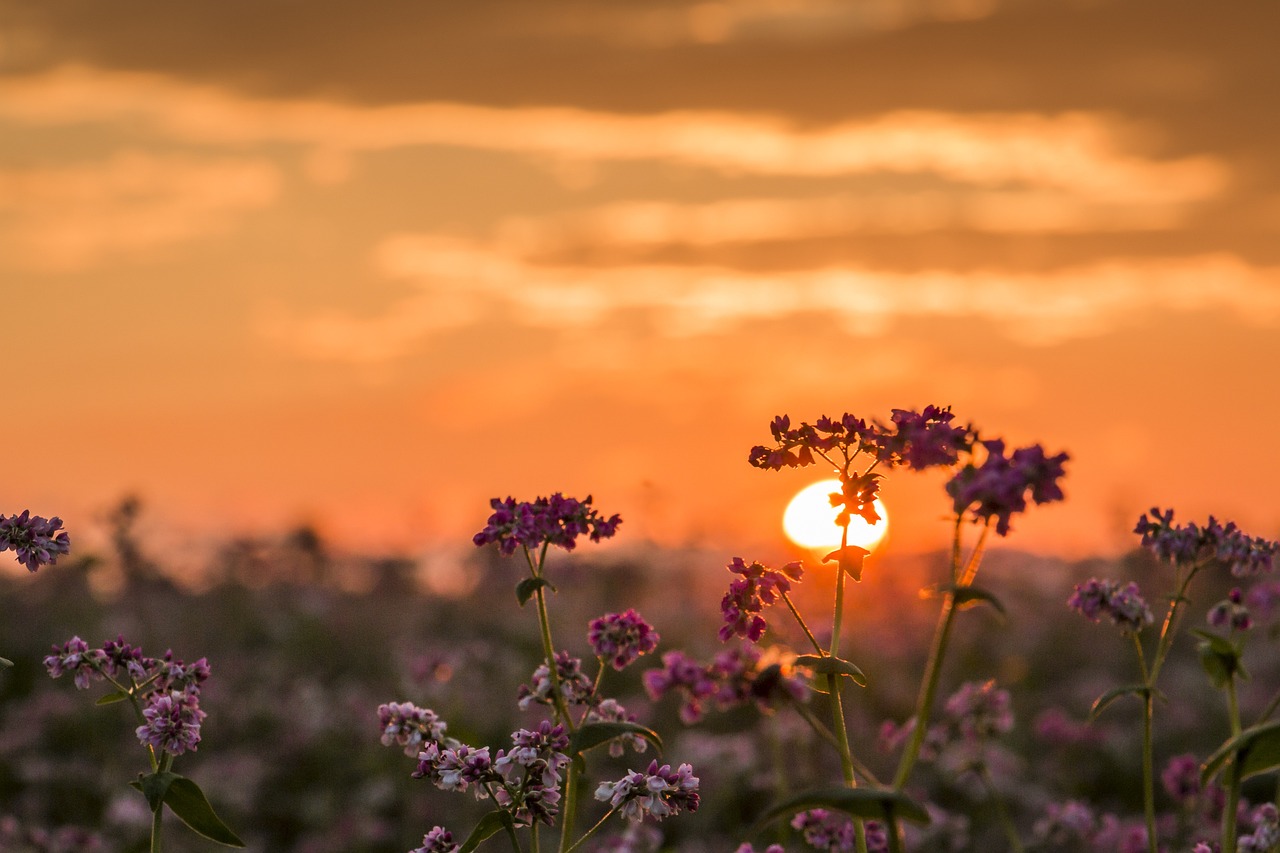 Evening Routines to Unwind and Increase Productivity